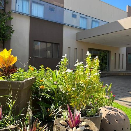 Maximus Business Hotel Ji-Paraná Exteriér fotografie